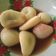 Cooksnap dari Rumi Hartati (Arumi Cakes N Cookies) untuk resep Manisan salak