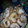 El cooksnap de Mary Souza Rey cuando hizo Rosquitas bien esponjosas y muuuy ricas.