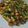 Cooksnap dari Novietha A untuk resep Serundeng Jagung/ Tumis Buncis Jagung