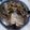 Cooksnap dari Anis Anindya untuk resep Spicy Head Salmon Nabe Soup Ala Sushi Tei