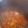 El cooksnap de Pilar Queralt cuando hizo Costillas asadas con verduras.