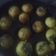 Anupa Prajapati's cooksnap of when they made હાંડવો (Handvo Recipe In Gujarati).