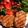 El cooksnap de @tesa.cuina cuando hizo Guisado con albóndigas de carne, con nuez moscada y canela.