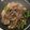 Cooksnap dari Sylvia untuk resep Beef Yakiniku