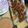 El cooksnap de Romina Paula cuando hizo Pinchos de pollo Satay al estilo Thailandés | @DarixLAB.