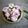 Cooksnap dari Mrs.Tans |IG : @tans.erni untuk resep Klepon buah naga
