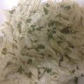 dailycooking's cooksnap of when they made Macaroni salad.