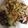 Cooksnap dari Itsme Niewone untuk resep Bubur ayam