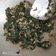Cooksnap dari Anha She Merah untuk resep Tumis daun singkong