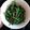 Cooksnap dari thatha Mirza untuk resep Buncis ala Singapore #pr_adakecapmanisnya