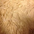 B AintMisinNoMeals's cooksnap of when they made Creamy mac and cheese.