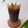 Cooksnap dari Nay's Kitchen untuk resep Es Kopi Pandan Gula Merah