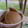 El cooksnap de Clari cuando hizo ¡Hotcakes fáciles y riquísimos!🥞🍯☕️❤️.