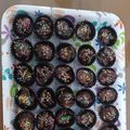 Cooksnap dari marlien konga untuk resep Coco crunch cookies