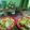 Sukla Sil's cooksnap of when they made ডিম টোস্ট (dim toast recipe in bengali).