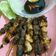 Cooksnap dari primadani untuk resep Sate Sapi Bumbu Rempah Manis