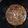 Manuel Carreira's cooksnap of when they made BEEF STEW (pressure cooker).