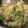 Cooksnap dari anesika petraglia untuk resep Bumbu urap sayur simple