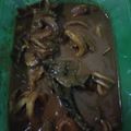 Cooksnap dari Silva Malexhi untuk resep 10. Cumi Saos Padang 🐙