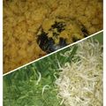Cooksnap dari Dwi Suci untuk resep Urap sayur ala bunda