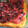 El cooksnap de Enrique Bauzá Ferré cuando hizo Tarta de queso con frutos rojos🍓🍒.