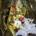 Cooksnap dari Rrmasyithah untuk resep Pais Iwak Nila/Pepes Ikan Nila khas Banjarmasin