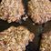 El cooksnap de dvushuaia cuando hizo Galletas de avena y chocolate 🍪.