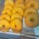 Cooksnap dari umi solicha untuk resep 41. Donat Kentang Empuk