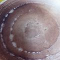 Mary Gachuma's cooksnap of when they made Fluffy Pancakes.