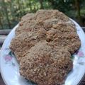 El cooksnap de Maru Castellano cuando hizo Galletitas de banana y avena 🍌.