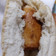 El cooksnap de Jennifer T cuando hizo El clásico y típico CHORIPAN!!.