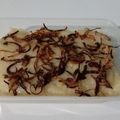 Cooksnap dari dewi febriyanti untuk resep Rasyidah aka asidah