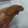 Cooksnap dari Jeanne untuk resep Soft Baked Chewy Chocolate Chip Cookies