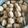 Cooksnap dari Ayu untuk resep BAKSO AYAM+DAGING HOMEMADE KENYAL BANGET