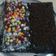 Cooksnap dari Siva Alesha_Kitchen untuk resep Brownies kukus oreo