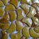 Cooksnap dari Rizqi Khoirunnisa untuk resep Butter Cookies 🍪(3Bahan saja) 😄