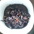 Cooksnap dari Dwi Setya untuk resep Cumi Hitam Pedas