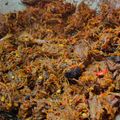 Cooksnap dari Rhena untuk resep Sisit Daging Sapi (daging sapi suwir pedas)