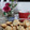 El cooksnap de jessica.stockle cuando hizo Galletas de granola.