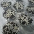 Cooksnap dari bilqis untuk resep Energen oreo chesee cake