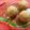Preeti V. Salvi's cooksnap of when they made गोविंद लाडू (govind ladoo recipe in marathi).