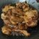 Cooksnap dari Ayu Rachmania untuk resep Ayam fillet panggang teflon