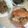 Cooksnap dari Ela Lukman untuk resep Kepiting Saus Padang