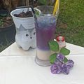 Cooksnap dari Novi Nawaksari untuk resep Es Yakult bunga Telang