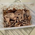 Cooksnap dari AmmaAbha untuk resep Keripik Pisang Cokelat