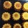 Cooksnap dari Stella untuk resep Canele, si custard pastry yang elegan