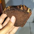 Cooksnap dari ~ untuk resep Brownies Kukus Ny Liem