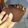 Cooksnap dari ~ untuk resep Brownies Kukus Ny Liem