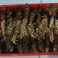 Cooksnap dari Nom Nom Gulp untuk resep Enoki Beef Roll With Teriyaki Sauce || Daging Gulung Jamur Enoki