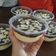 Cooksnap dari Sylvia Noviyanti untuk resep Eclair Cake